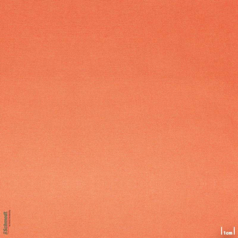 005 – pastelllachs