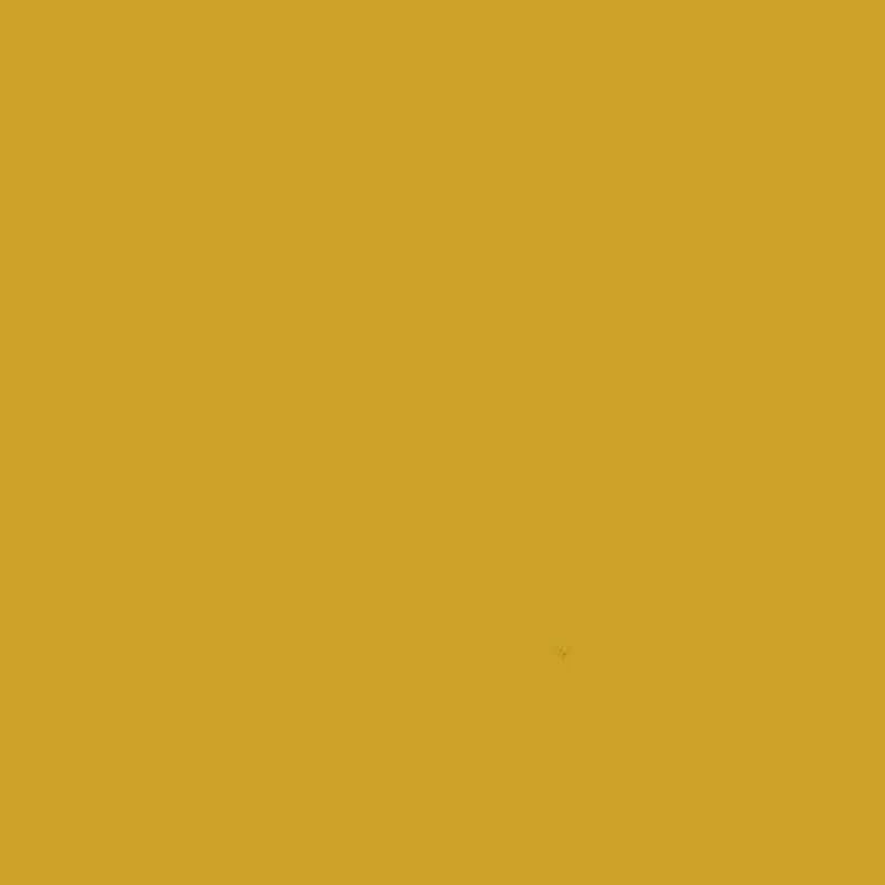 002 – senf